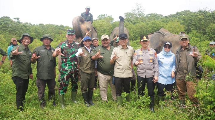 Gubernur Lampung Apresiasi Komitmen Presiden Atasi Konflik Gajah Way Kambas dengan Pembatas 138 KM