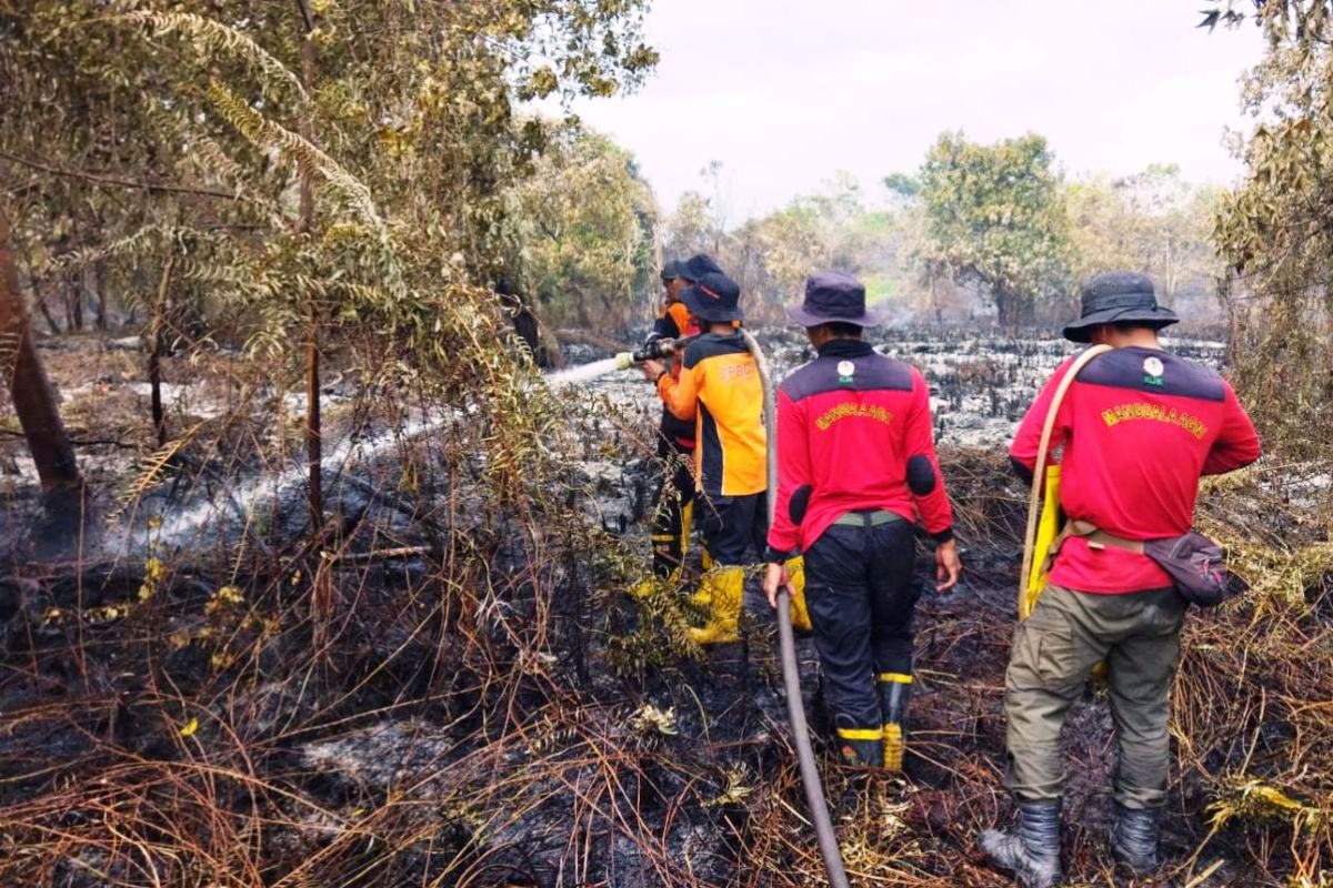 BMKG Balikpapan Desak Kewaspadaan Karhutla: Titik Panas Meningkat di Musim Kemarau Ekstrem