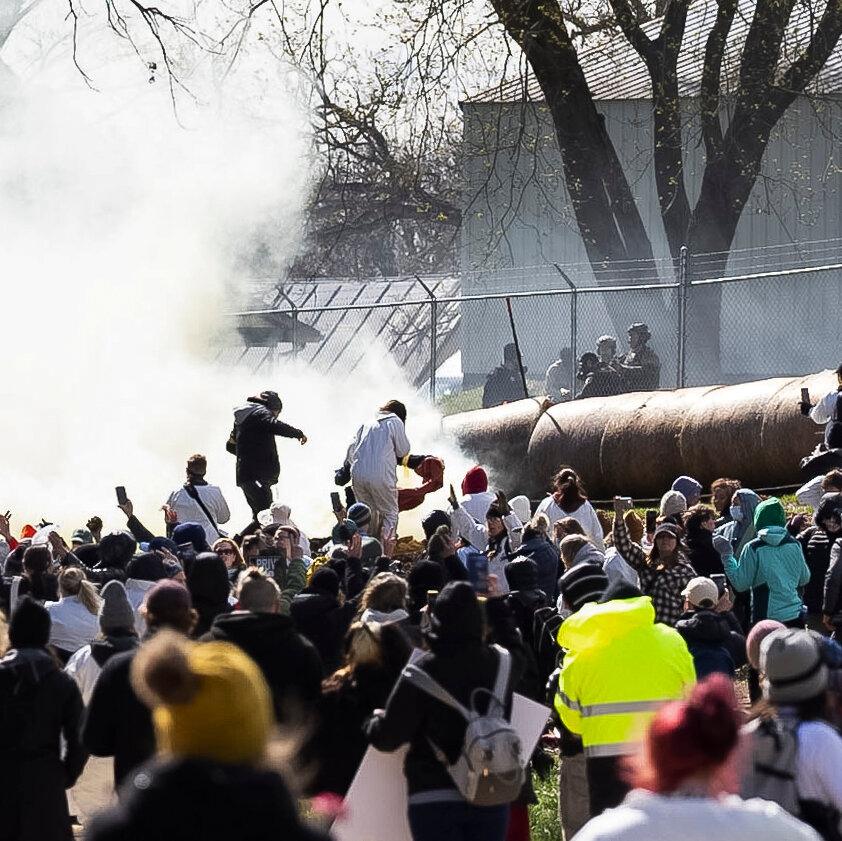 Bentrokan di Wisconsin: Ribuan Aktivis Gagal Rebut Anjing Beagle dari Fasilitas Riset