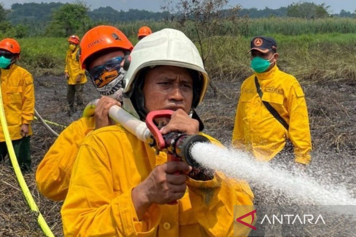 BPBD Kaltim Perkuat Benteng IKN, Strategi Pagar Betis Cegah Kebakaran Hutan dan Lahan