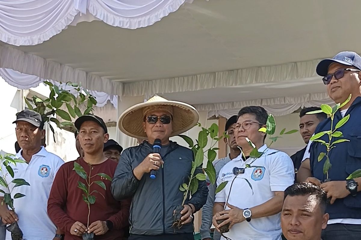 ANTARA Tanam Ratusan Bibit di Kubu Raya: Perkuat Komitmen Lingkungan Kalimantan Barat