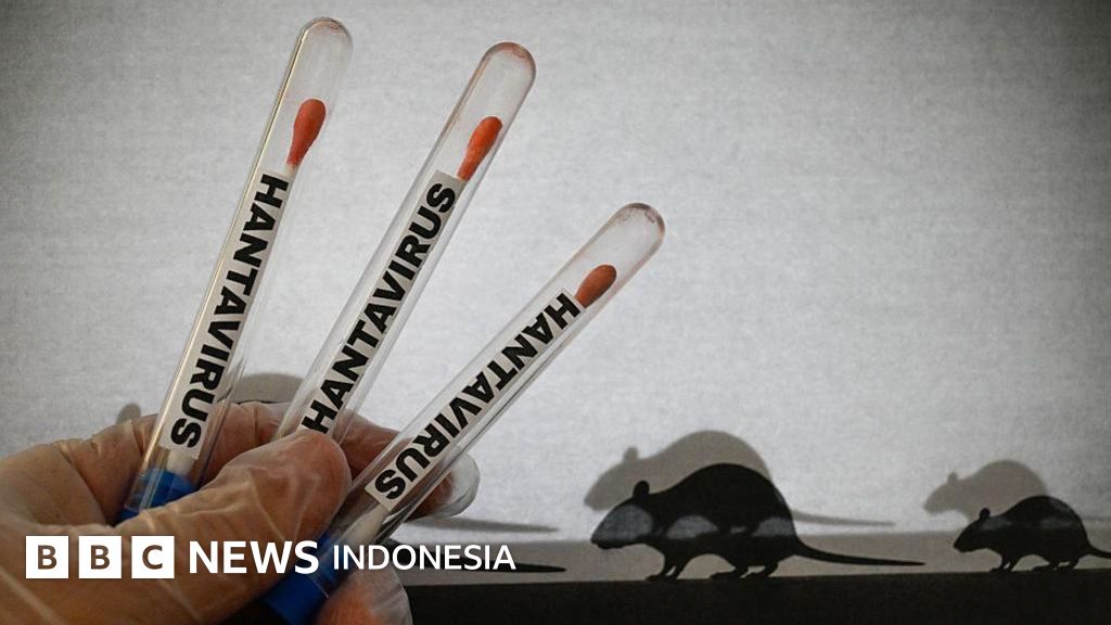 Hantavirus di Indonesia: Epidemiolog Tegaskan Bukan Penyakit Baru, Kenali Risiko dan Pencegahannya