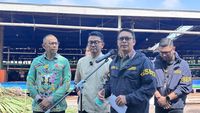 Polda Metro Jaya: Ancaman Pidana Berat Menanti Pedagang Sapi Gelonggongan Jelang Idul Adha