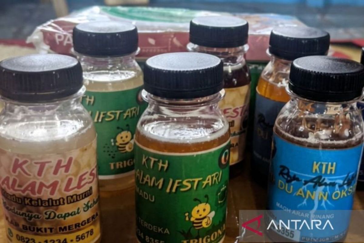 Madu Kelulut Kaltim Gapai Pasar Kosmetik, Tingkatkan Nilai HHBK Berkelanjutan