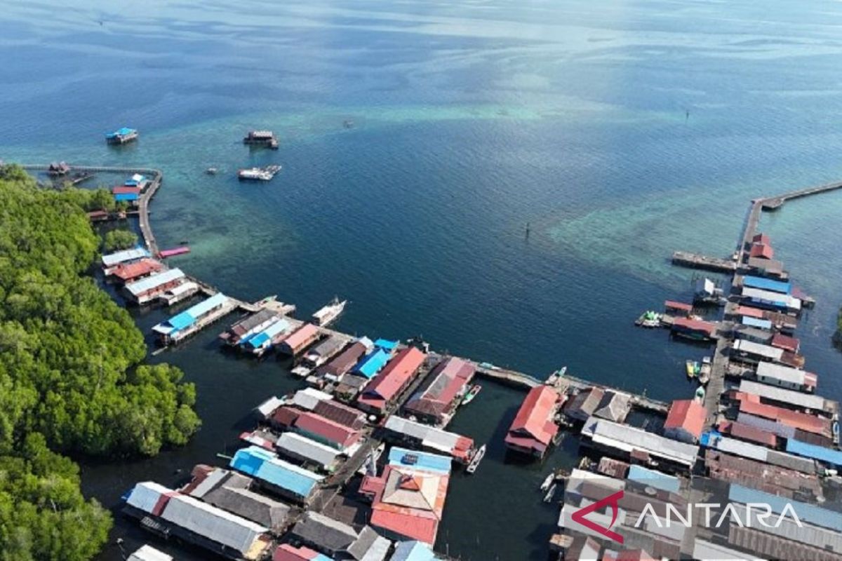 Strategi Kaltim: Mengoptimalkan Ekowisata Hiu Paus Pulau Miang untuk Ekonomi Berkelanjutan