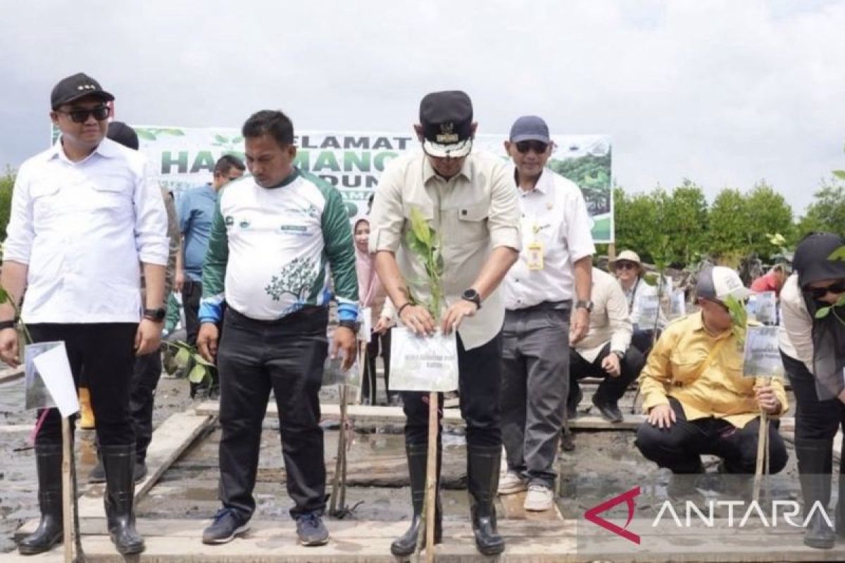 Pemprov Kaltim Tegaskan Komitmen Kuat Lindungi Mangrove Pesisir, Libatkan Masyarakat dan Komunitas Lokal
