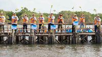 KLH Ajak Masyarakat Tanam 1 Juta Mangrove Menjelang Hari Mangrove Sedunia 2026