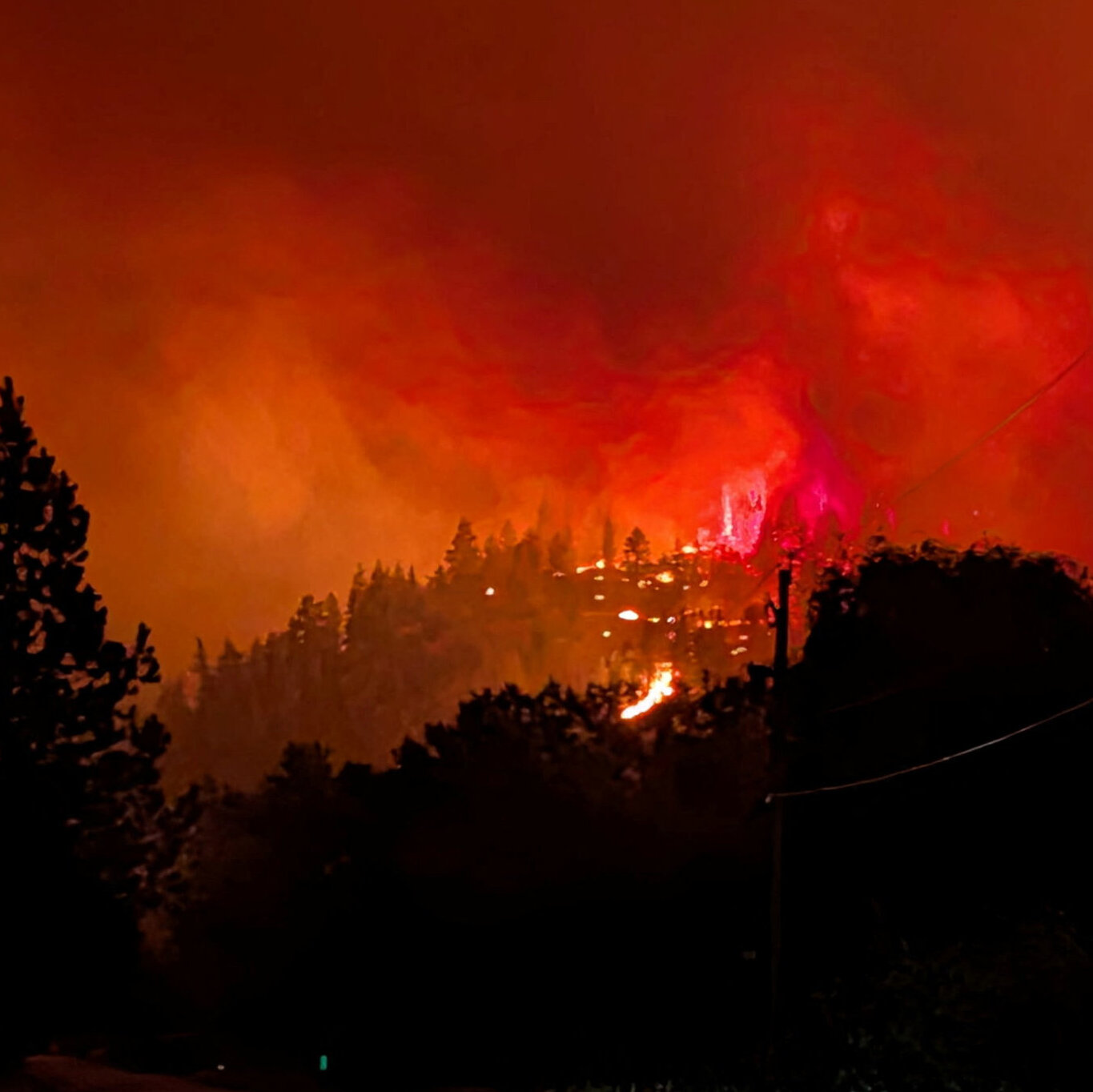 Kanada Darurat Kebakaran Hutan Meluas Ribuan Warga Dievakuasi dari British Columbia