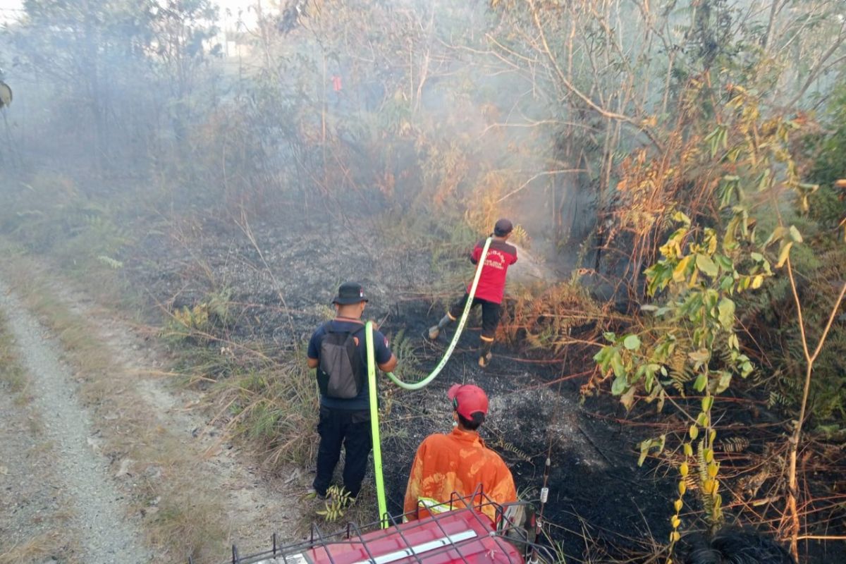 DPR Mendesak Penguatan Mitigasi Karhutla Kalimantan Demi Keselamatan Bersama