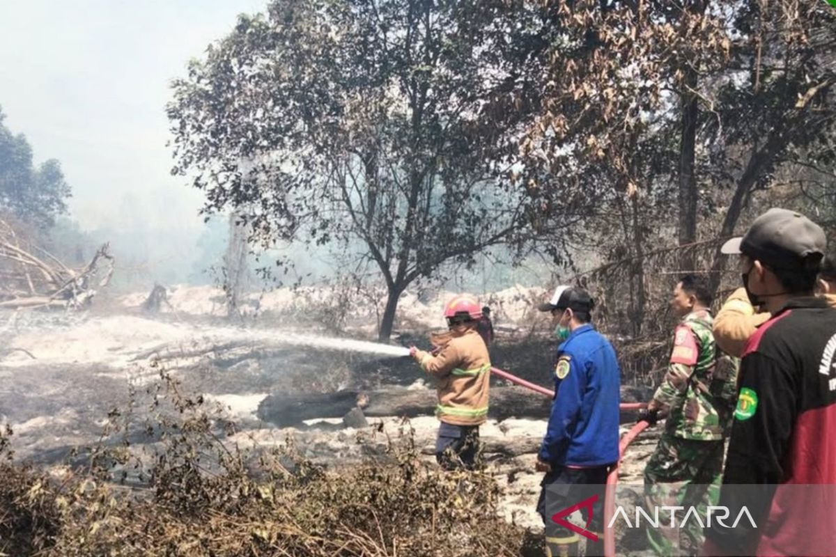 Tim Gabungan Berhasil Padamkan 13,8 Hektare Karhutla di Hutan Konservasi Kalimantan Timur