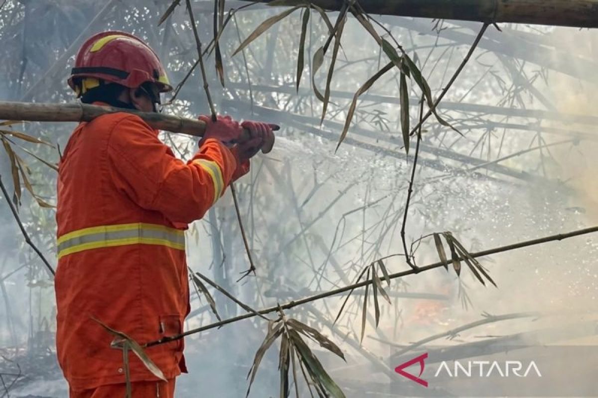Cepat Teratasi, Karhutla di Cagar Alam Kaltim Berhasil Dikendalikan Tim Gabungan