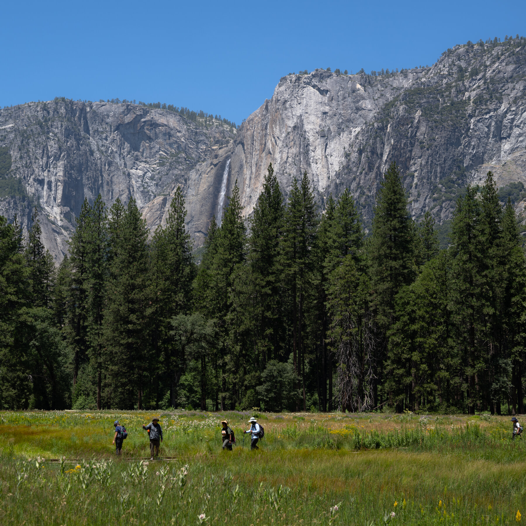Administrasi Trump Dikritik Keras Atas Usulan Tukar Guling Lahan Yosemite untuk Pengembang