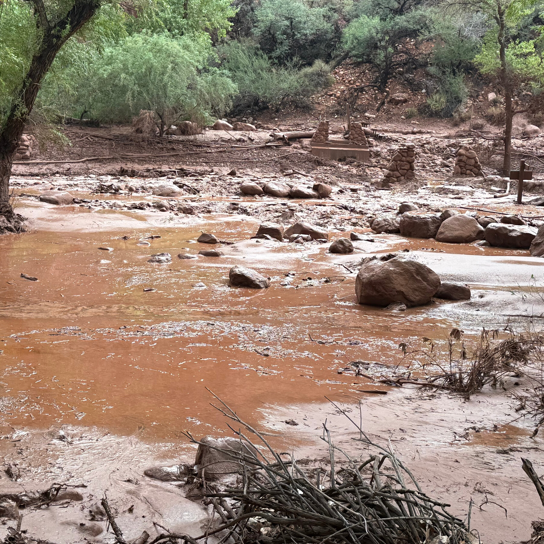 Tragedi Banjir Bandang Grand Canyon: Satu Tewas, Belasan Hilang, Puluhan Dievakuasi