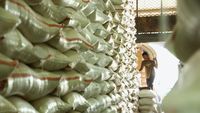 Pemerintah Pastikan Stok Pangan Korban Gempa NTT Aman, Siapkan Strategi Jangka Panjang