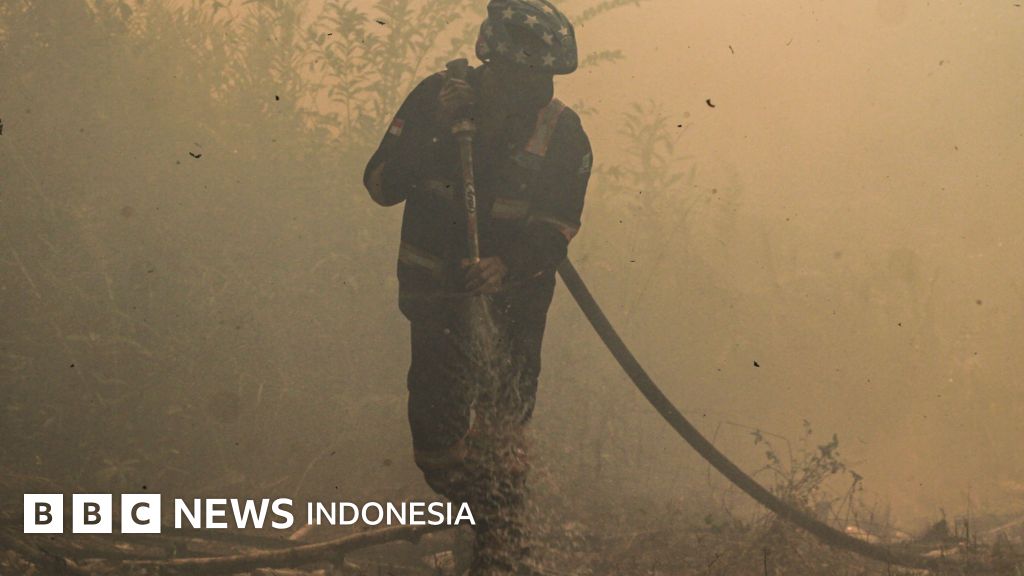 Di Balik El Niño: Menguak Warisan Orde Baru sebagai Akar Karhutla Kalimantan