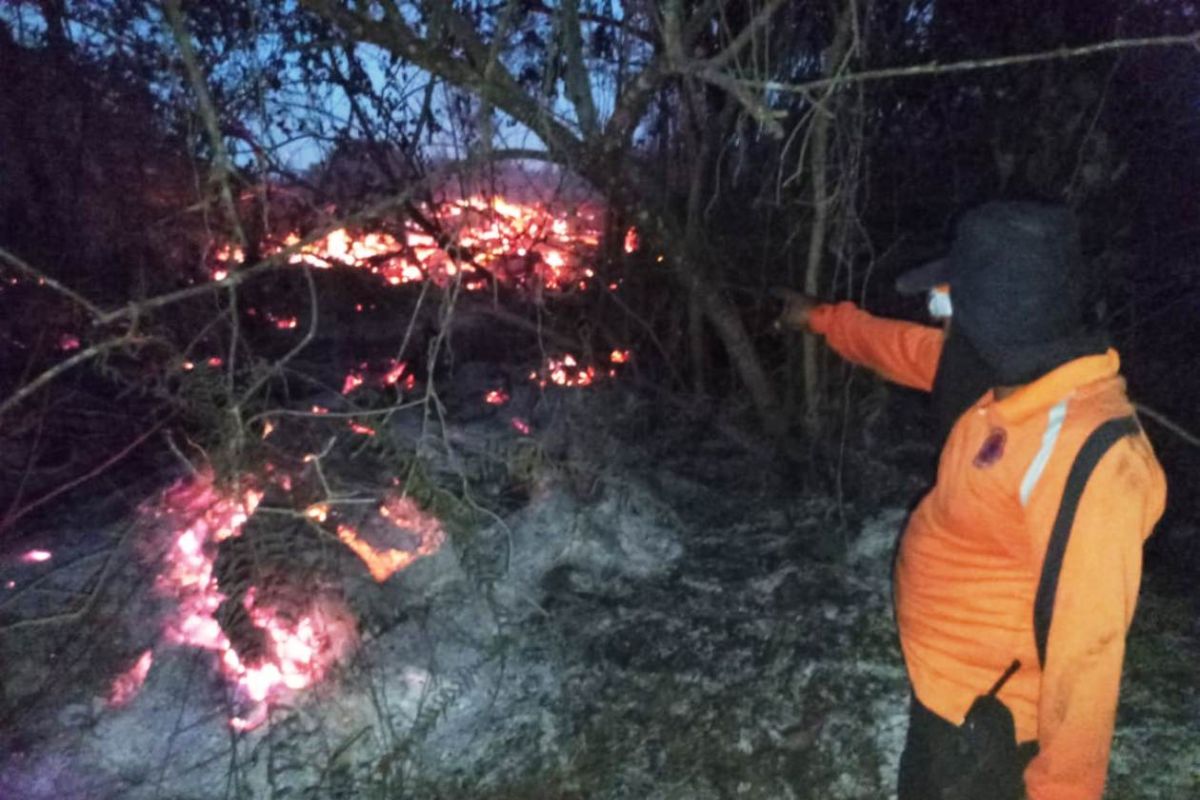 Pemprov Kaltim Larang Keras Pembakaran Lahan Pertanian Cegah Karhutla