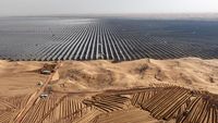 Dilema Energi Hijau China: Ekspansi Solar Panel Ancam Keanekaragaman Burung