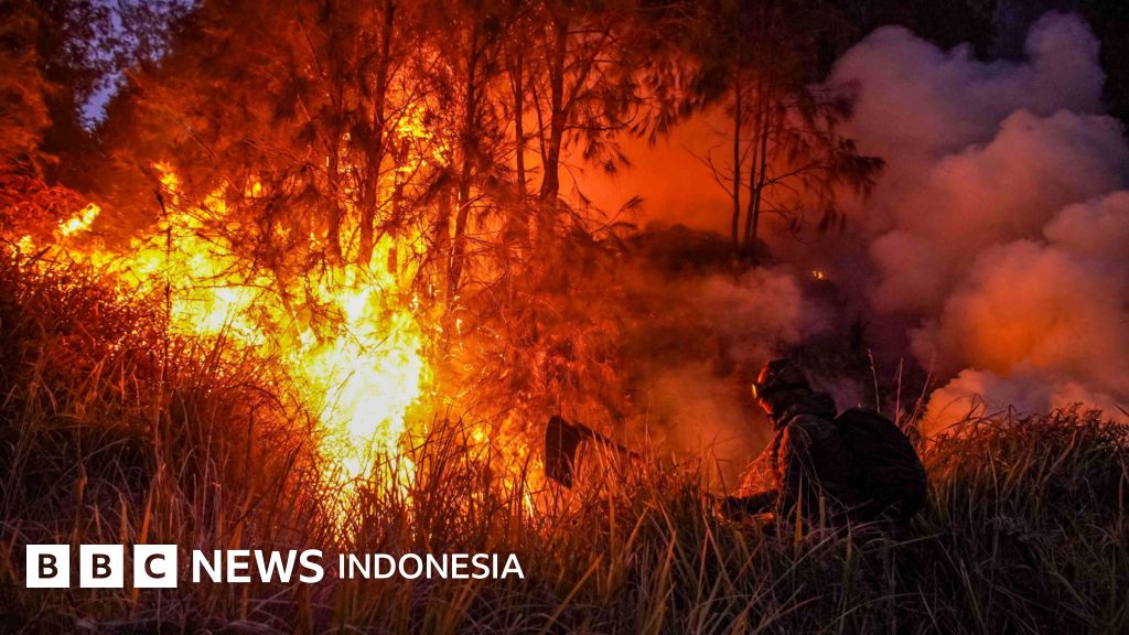 Karhutla 2026 Mengganas di Tengah El Nino Godzilla: Ironi Manusia sebagai Pemicu Utama Bencana Berulang