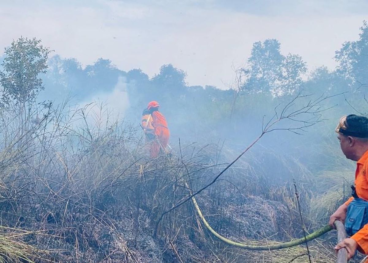 KLHK Sanksi Tegas Enam Perusahaan Terkait Karhutla Ribuan Hektare di Kalimantan