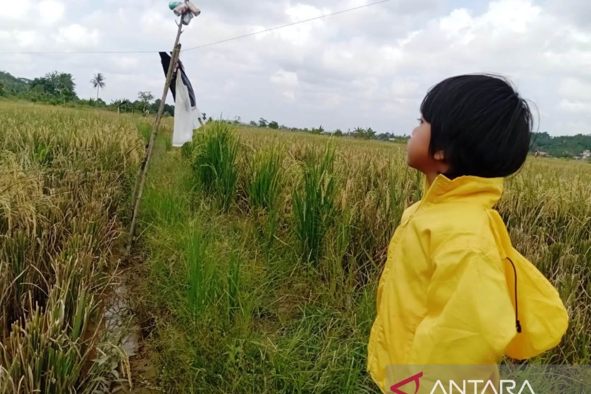 Kukar Pacu Sinergi Demi Wujudkan Kalimantan Timur Sebagai Pusat Pangan Nasional