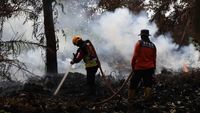 Krisis Air Hambat Pemadaman Karhutla di Kotim, Bupati Minta BNPB Turun Tangan