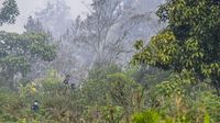 Pemerintah Selidiki Empat Korporasi Terkait Kebakaran Hutan di Kalimantan Barat