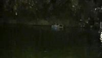 Drama Evakuasi WN Aljazair dari Danau Sunter: Ngotot Berendam Seharian, Negosiasi Sengit Berakhir Malam Hari
