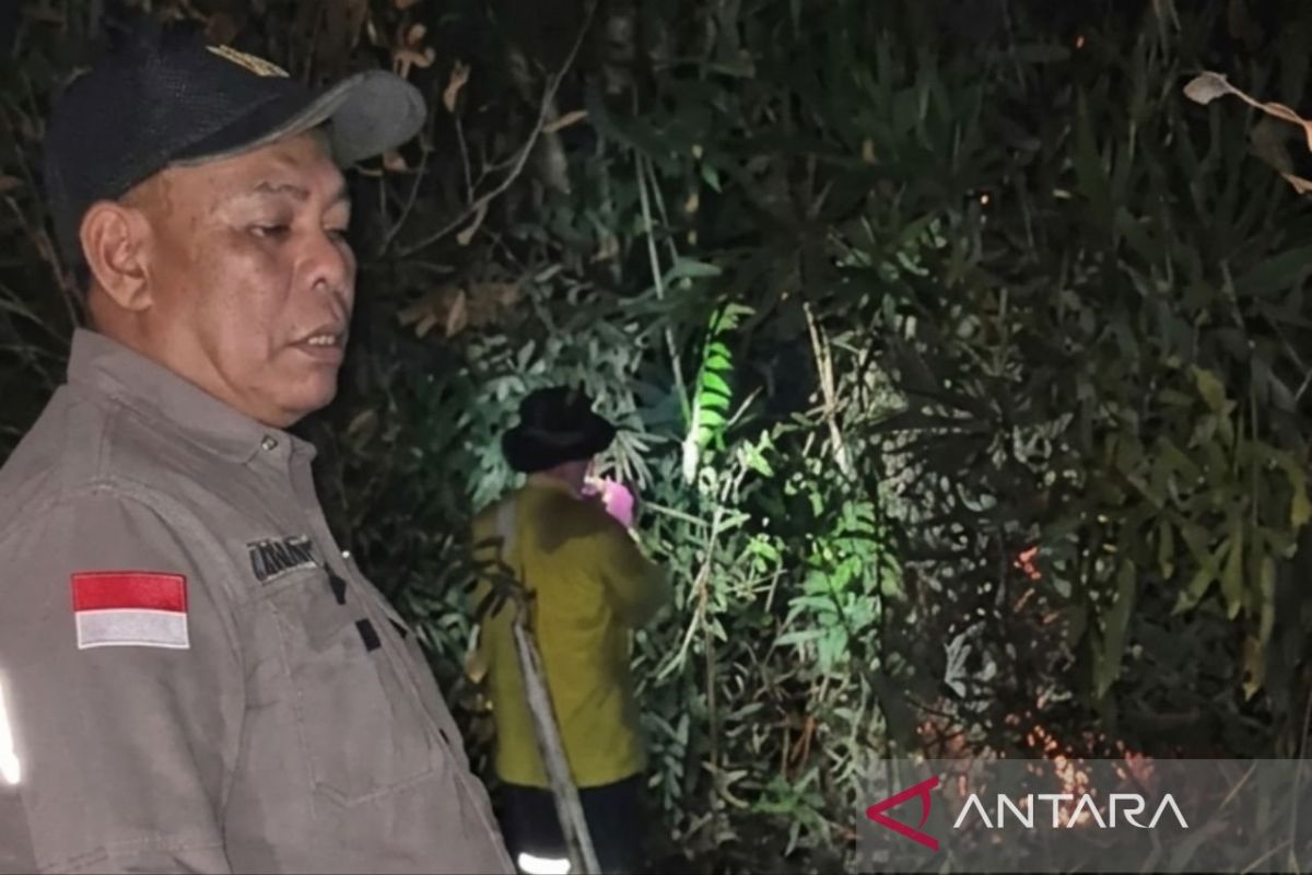 Plt Kadishut Kaltim Rusmadi Pimpin Pemadaman Karhutla di Tahura Bukit Soeharto