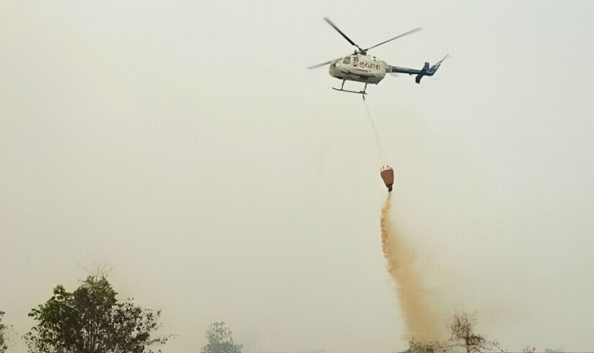 BNPB Intensifkan Pemadaman Karhutla di Jambi dan Sumatera Selatan, Ratusan Ribu Liter Air Dikerahkan